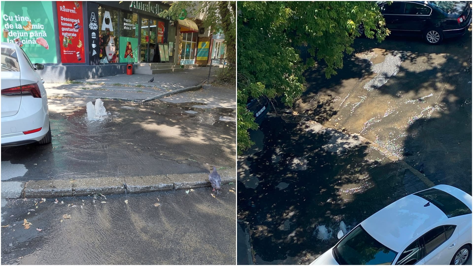 Fântână arteziană spontană pe Strada Horia Măcelariu din Sectorul 1, București: apa a țâșnit și a inundat zona