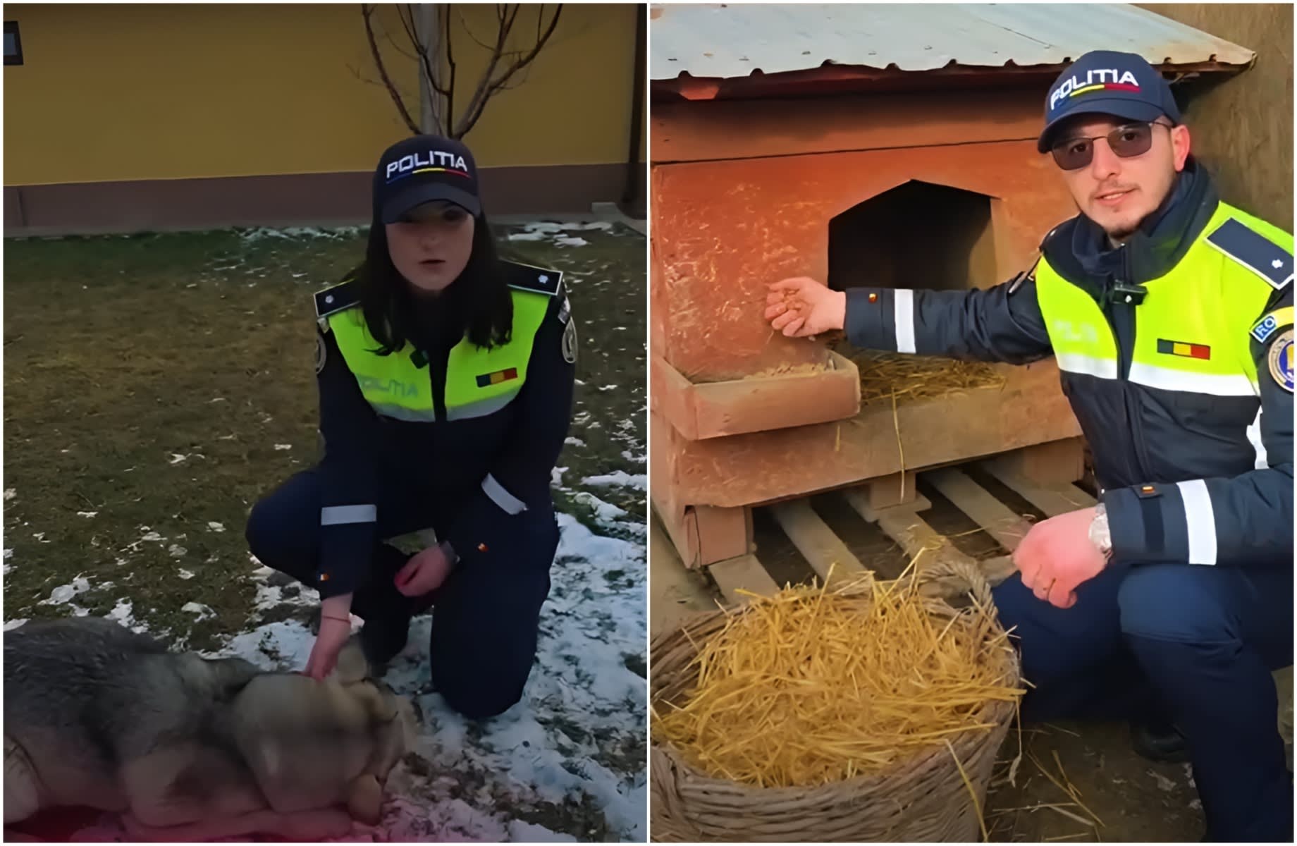 Localnici lasând recipiente cu apă pentru animale sălbatice în Moravița