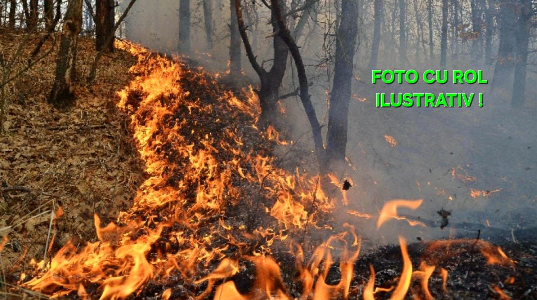 Pompieri din Vrancea stingând incendiu de pădure la Nereju Pompieri din Vrancea stingând incendiu de pădure la Nereju