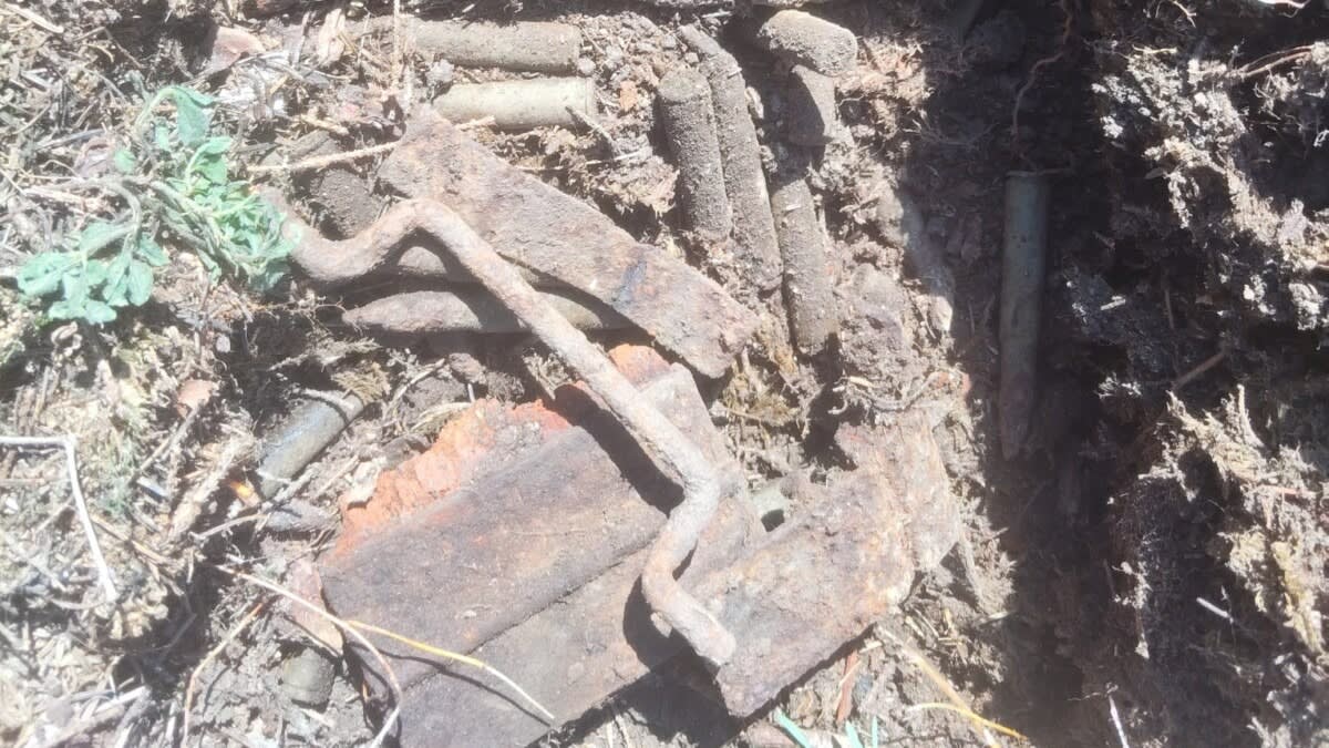 Detectorist descoperind resturi militare în pădure Detectorist descoperind resturi militare în pădure