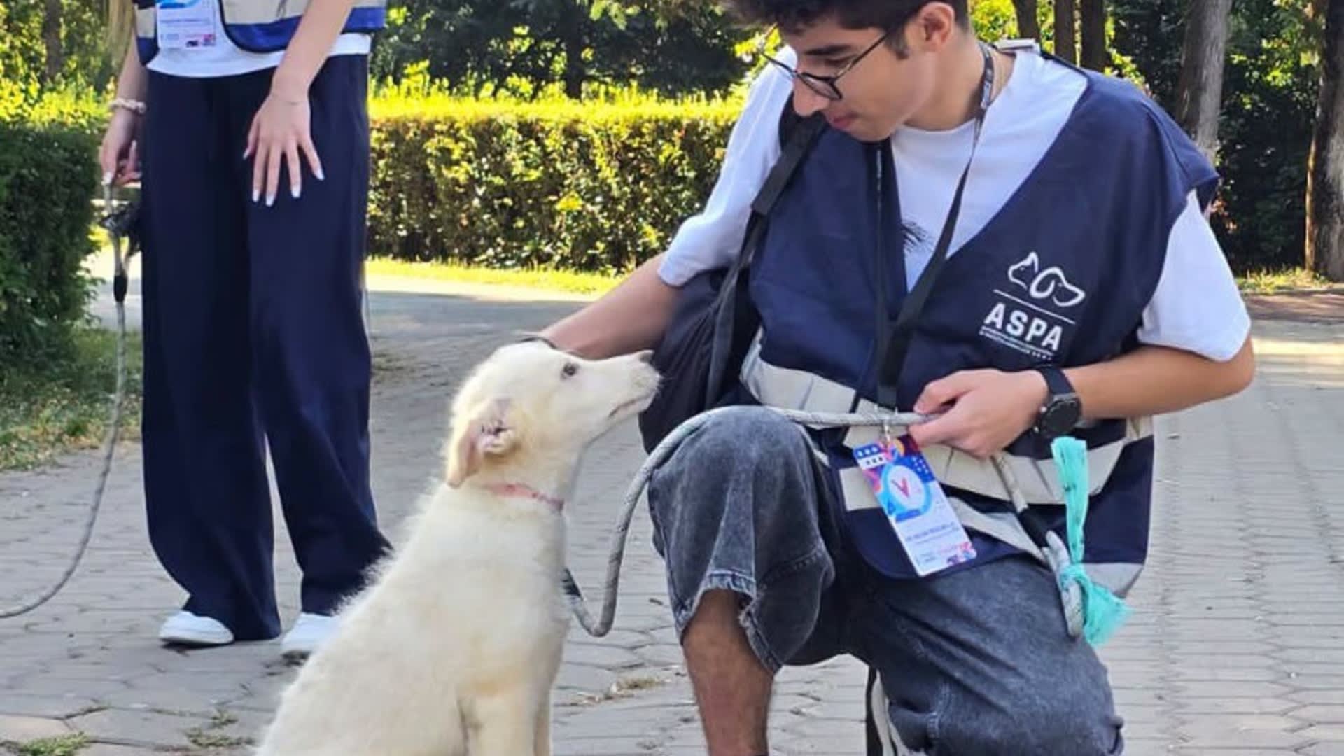 💙 11 căței de la ASPA au fost adoptați la târgul din Parcul Bazilescu și din adăposturi