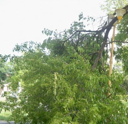 Fenomene meteo periculoase: ploi, grindină și vânt în Teleorman Fenomene meteo periculoase: ploi, grindină și vânt în Teleorman