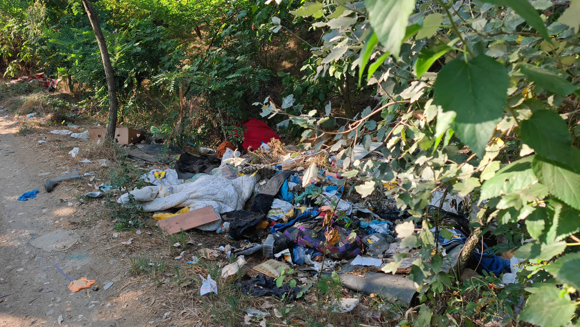 Echipe de salubrizare în zona Zăvoi din Ștefănești, Argeș Echipe de salubrizare în zona Zăvoi din Ștefănești, Argeș