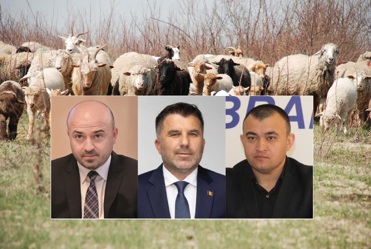 Parlamentari brăileni discutând despre despăgubiri Parlamentari brăileni discutând despre despăgubiri