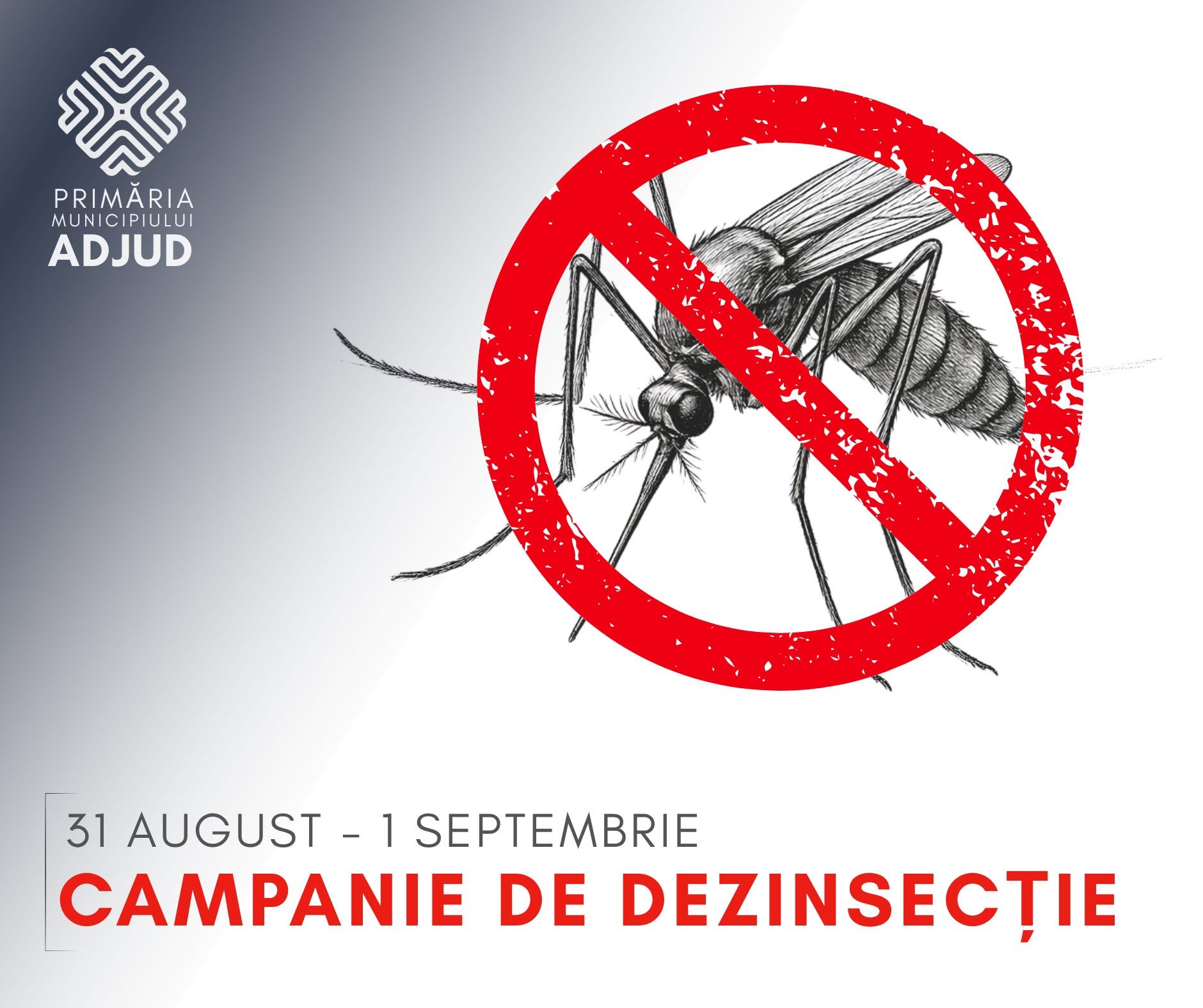 Echipament de dezinsecție în acțiune în Adjud Echipament de dezinsecție în acțiune în Adjud