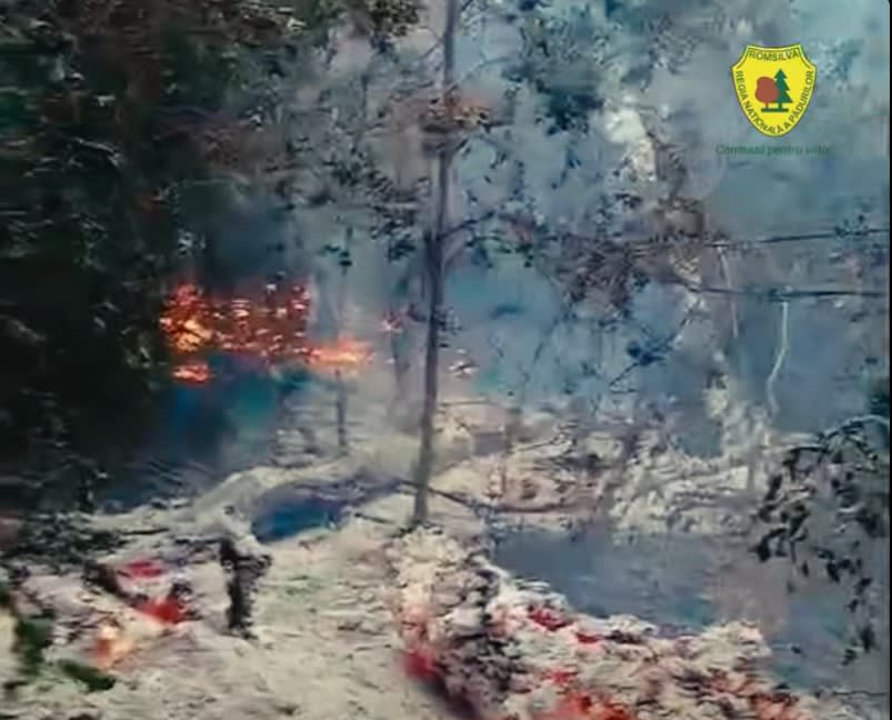 Echipaje de pompieri în acțiune la stingerea unui incendiu de pădure în Tulcea Echipaje de pompieri în acțiune la stingerea unui incendiu de pădure în Tulcea