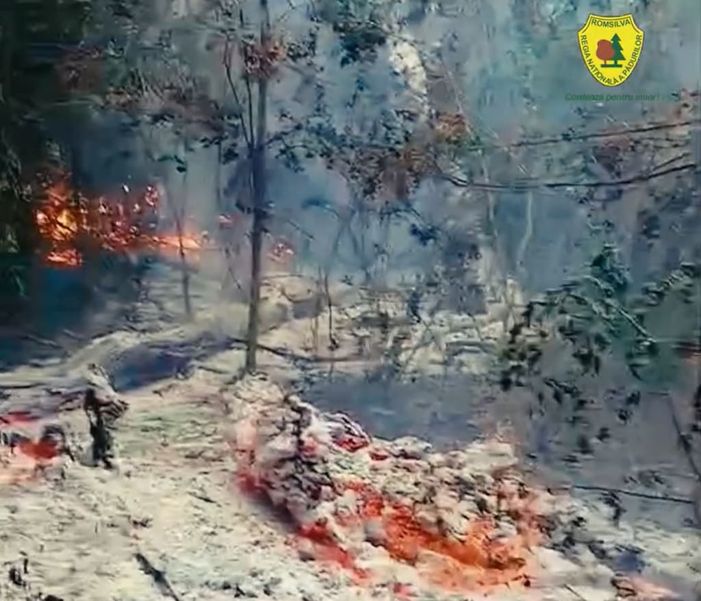 Echipa de specialiști MApN cercetând zona incendiului de pădure la Plauru Echipa de specialiști MApN cercetând zona incendiului de pădure la Plauru