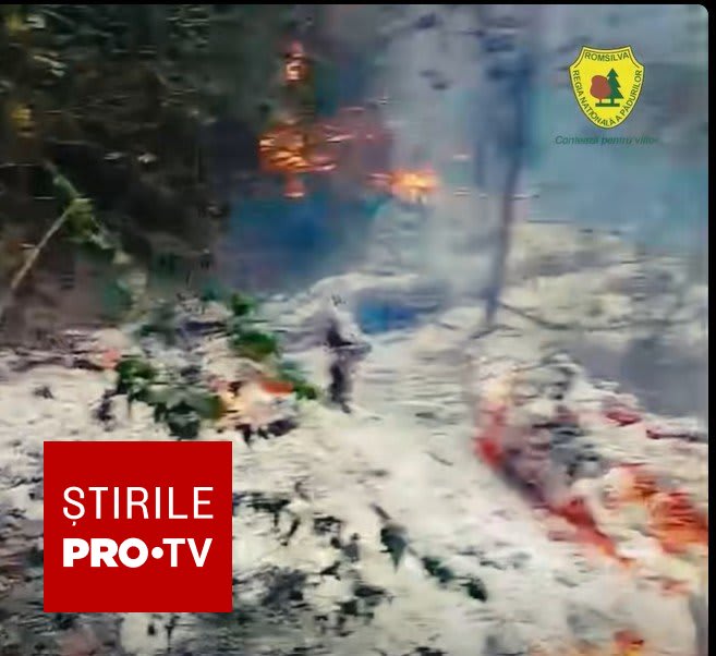 Incendiul din pădurea din Plauru, provocat posibil de explozia unei drone