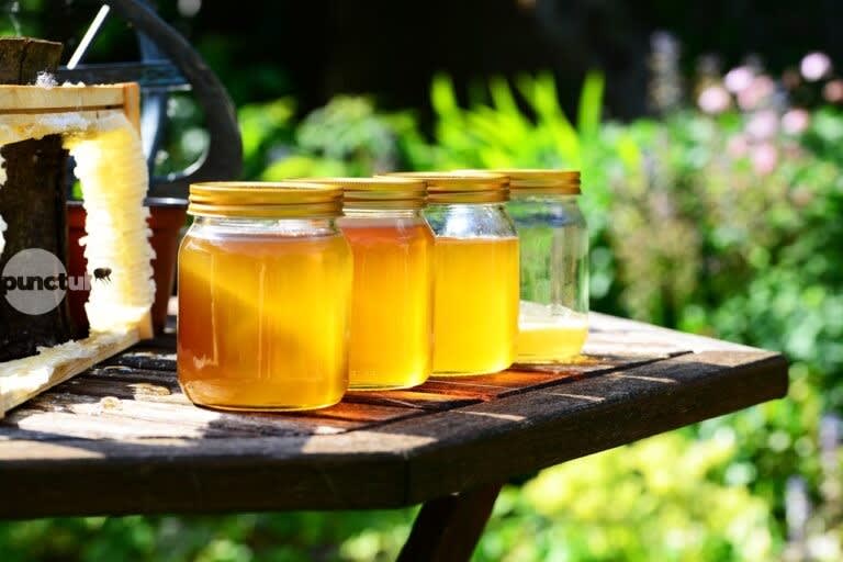 Albine în stupină în județul Mureș, România Albine în stupină în județul Mureș, România