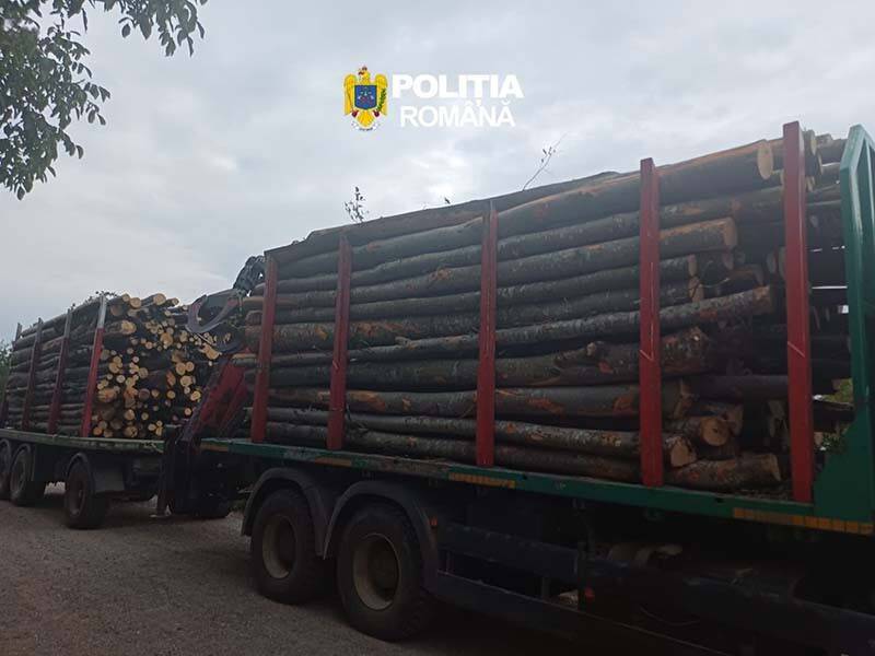 Polițiștii confisca un ansamblu auto și peste 17 mc de material lemnos în Sighetu Marmației