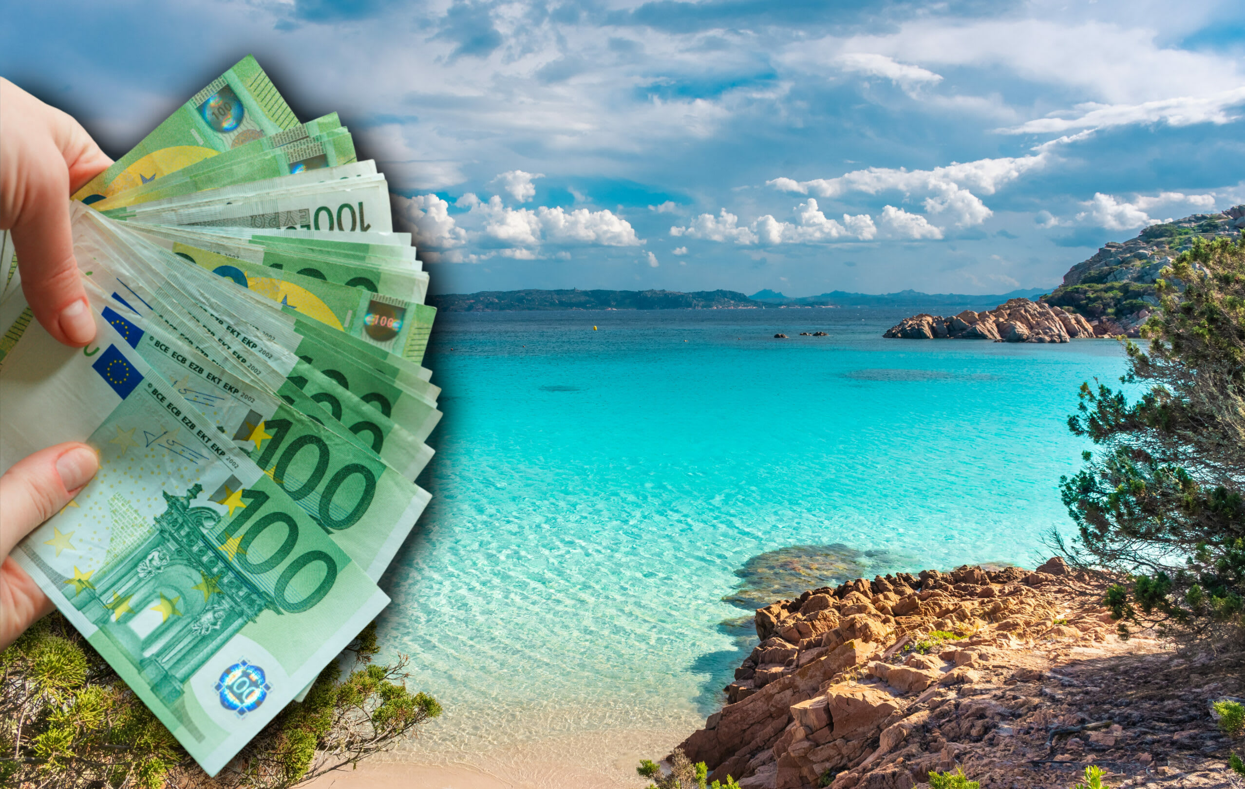 Moluscă protejată Pinna nobilis pe plajă în Sardinia Moluscă protejată Pinna nobilis pe plajă în Sardinia