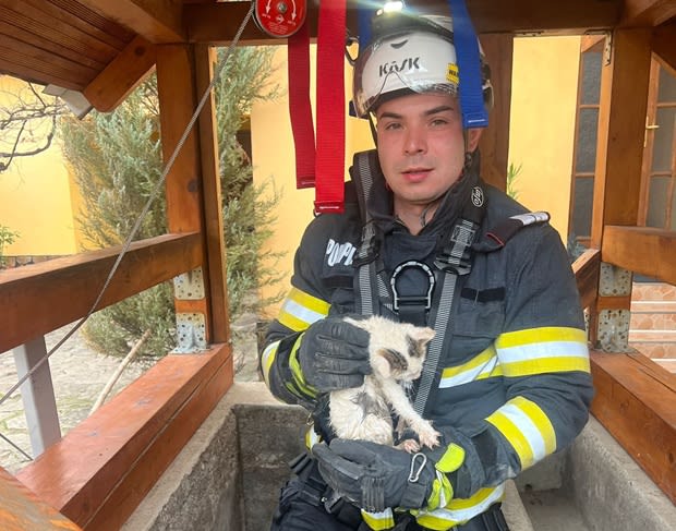 Pisicuță portocalie salvată din excavator în Ohio