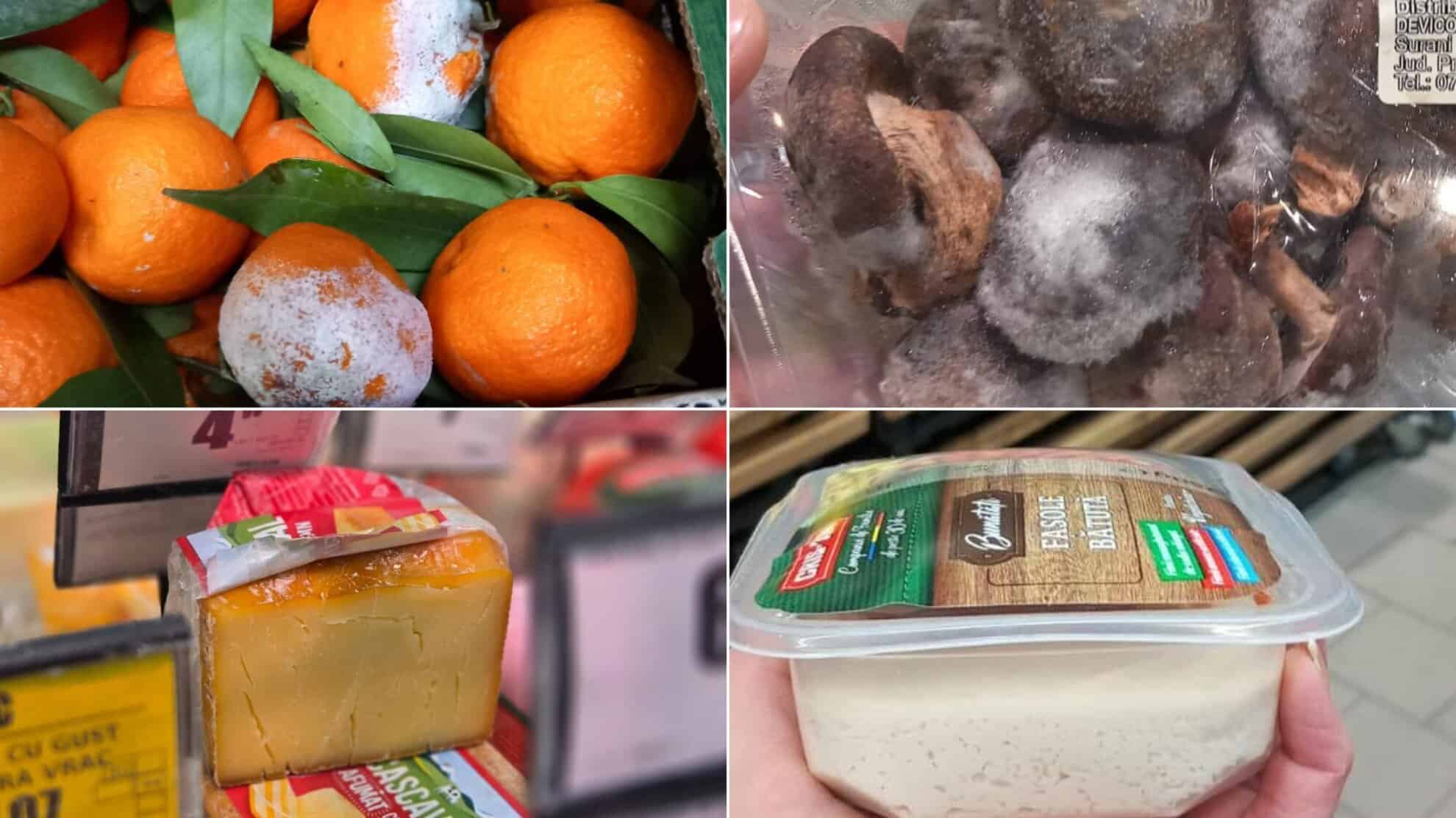 Inspector ANPC verificând alimente în magazin, produse expirate și mucegai Inspector ANPC verificând alimente în magazin, produse expirate și mucegai
