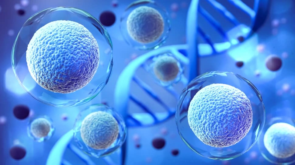 Proteză moleculară pentru restabilirea vederii Proteză moleculară pentru restabilirea vederii