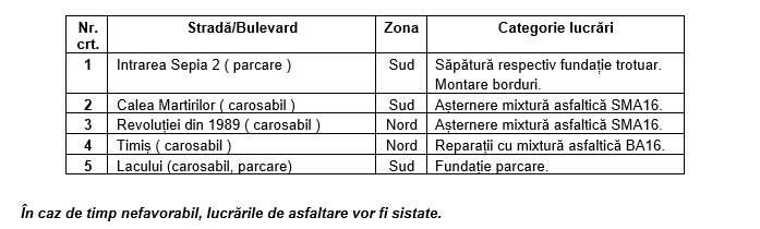 Echipe SDM executând reparații pe stradă în Timișoara