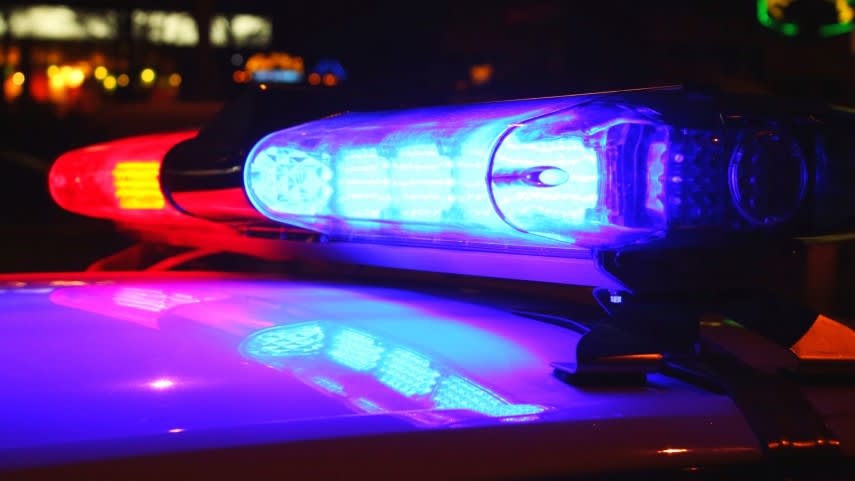Polițiști români aducând un suspect din străinătate