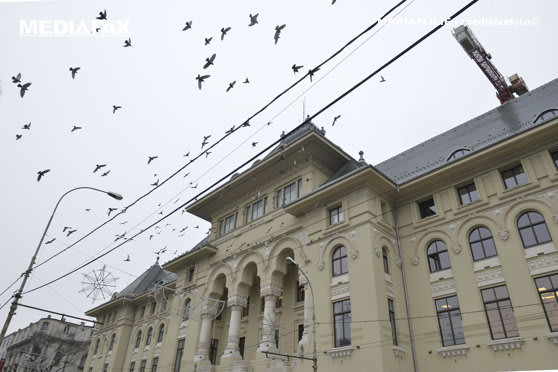 Podul Calicilor și malurile Dâmboviței în București Podul Calicilor și malurile Dâmboviței în București