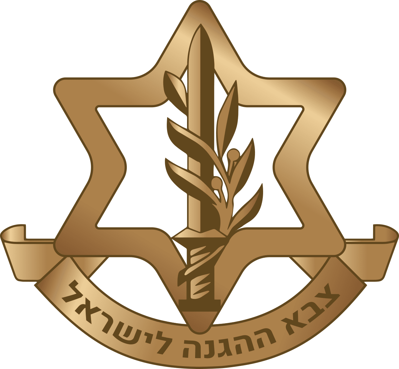 Armata Israelului a lansat atac aerian asupra unui spital din Gaza, susține IDF