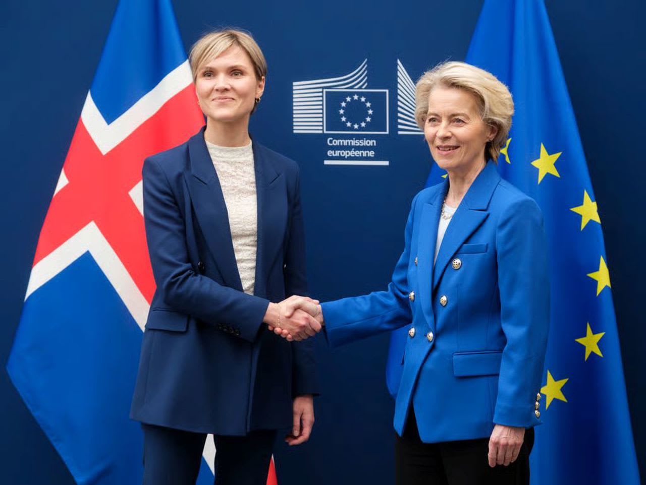 Rezultate parțiale ale referendumului din Islanda: tabăra „Nu” conduce în votul privind aderarea la UE
