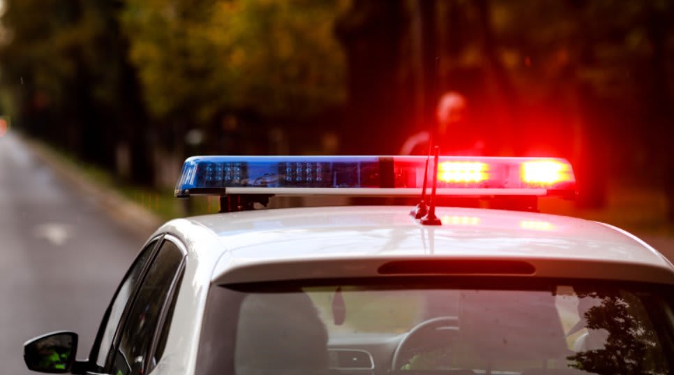 Polițiști în acțiune în localitatea Luna de Sus, județul Cluj Polițiști în acțiune în localitatea Luna de Sus, județul Cluj