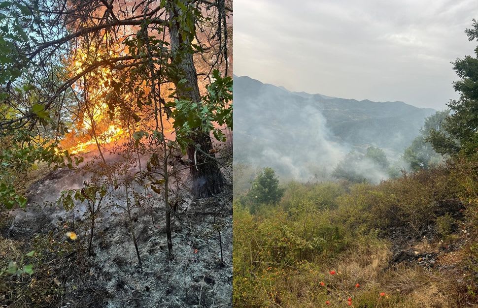 Pompieri în acțiune stingând un incendiu de vegetație în Hunedoara