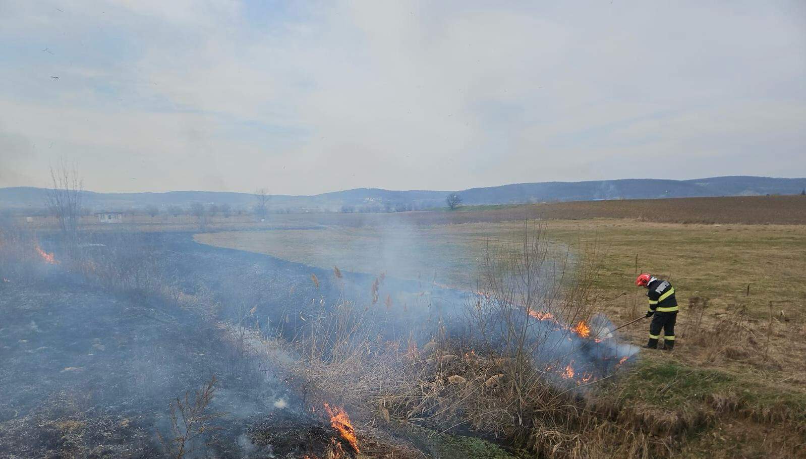 Pompieri intervenind în pădure Pompieri intervenind în pădure