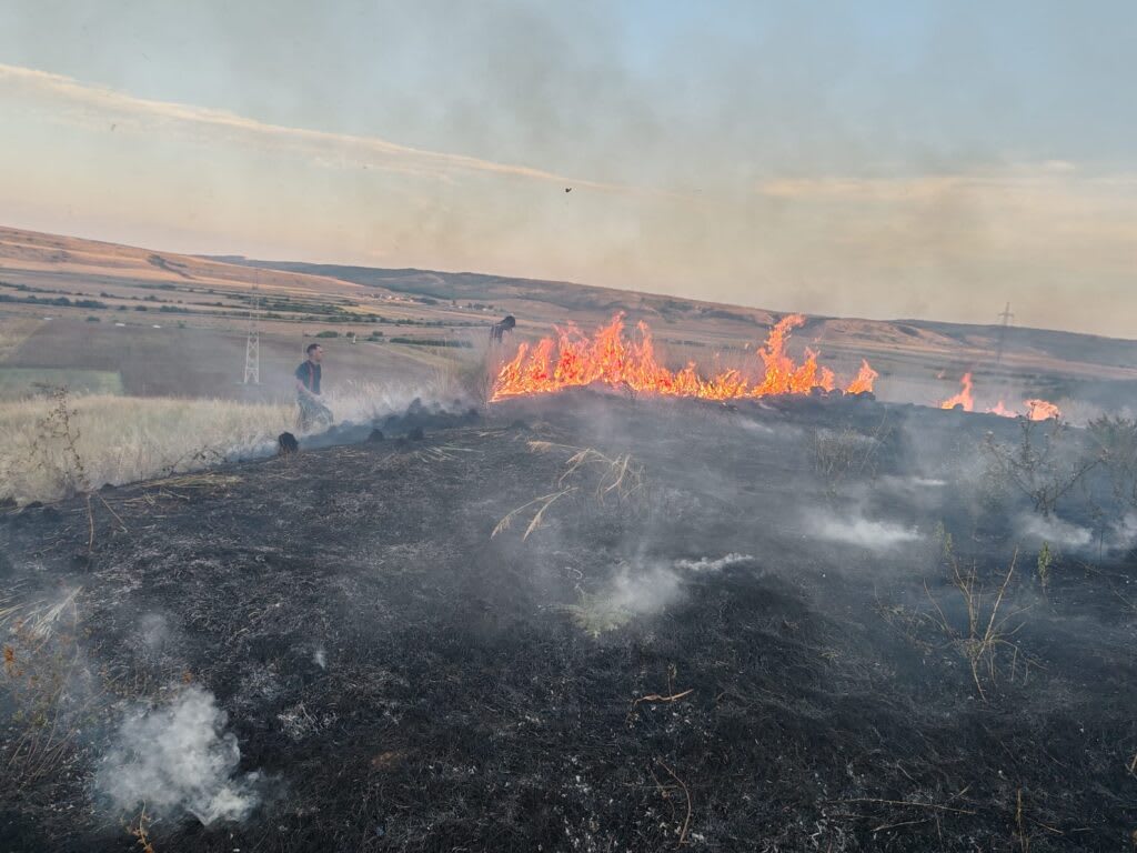 Pompieri stingând incendiu de vegetație în Bogdănești Pompieri stingând incendiu de vegetație în Bogdănești
