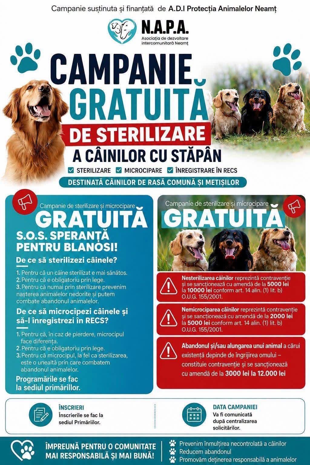 Câine sterilizat și microcipat în timpul campaniei Câine sterilizat și microcipat în timpul campaniei