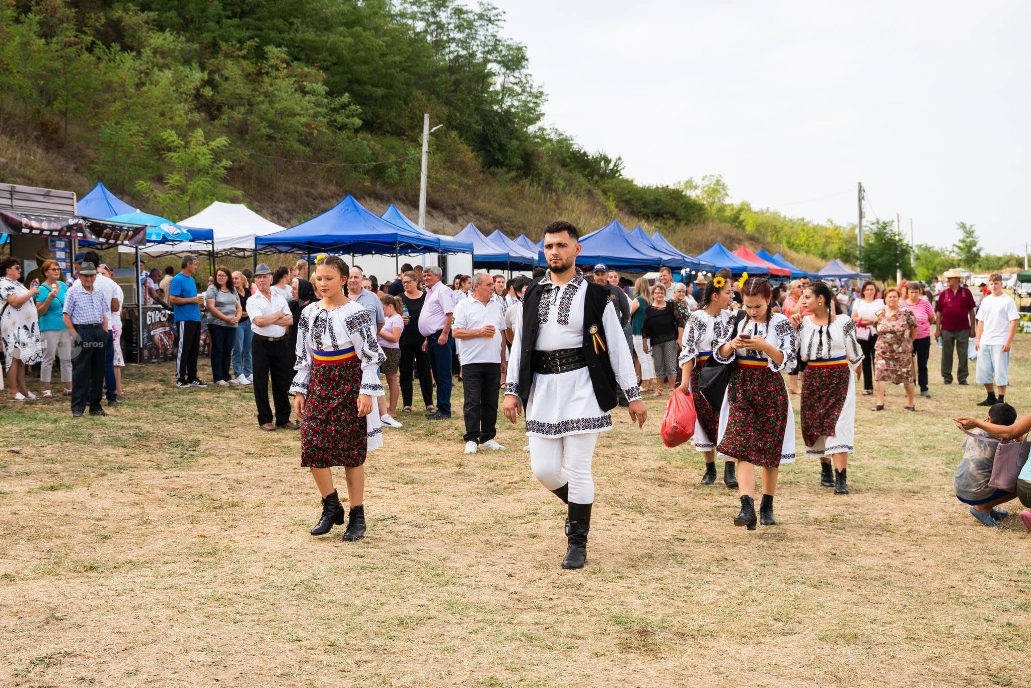 Festivalul Câmpiei Mureșene la Tăureni Festivalul Câmpiei Mureșene la Tăureni