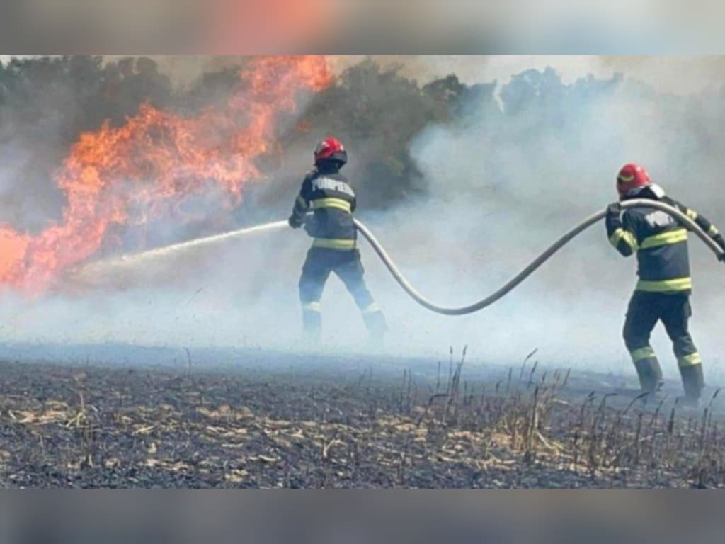 Pompieri stingând incendiu de vegetație în Bălcești, Vâlcea Pompieri stingând incendiu de vegetație în Bălcești, Vâlcea