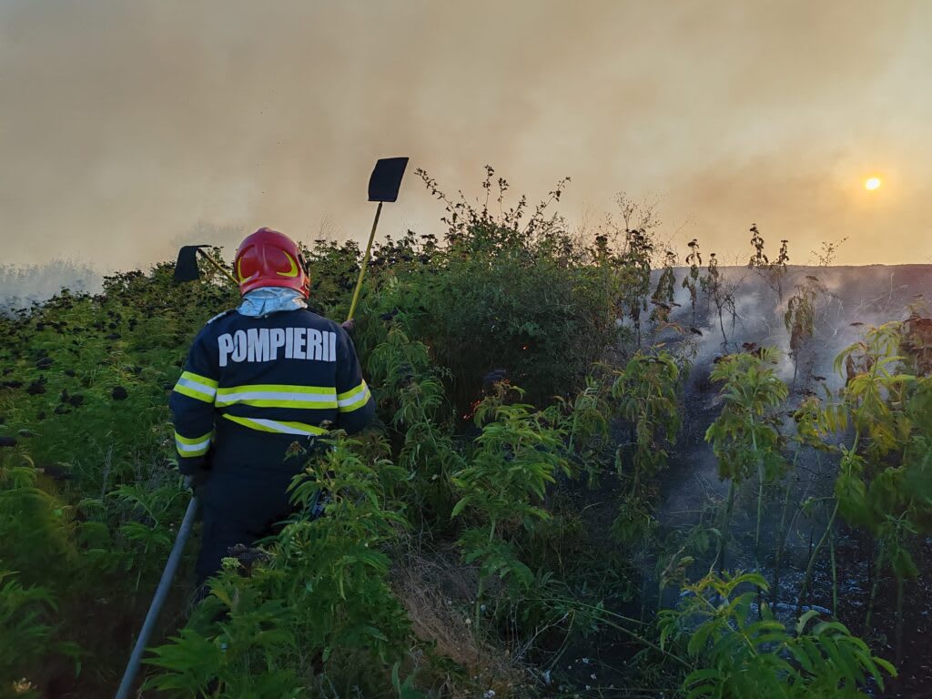 Pompieri în acțiune la incendiu de vegetație în Vaslui Pompieri în acțiune la incendiu de vegetație în Vaslui