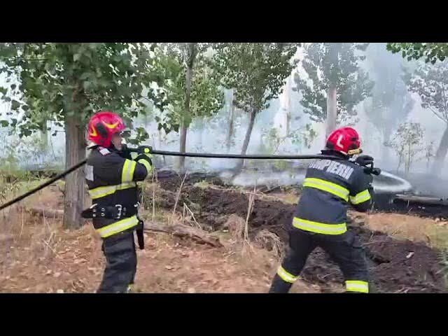ALARMĂ! Pompierii sătmăreni intervin pentru incendii de vegetație și pădure, 7 hectare afectate