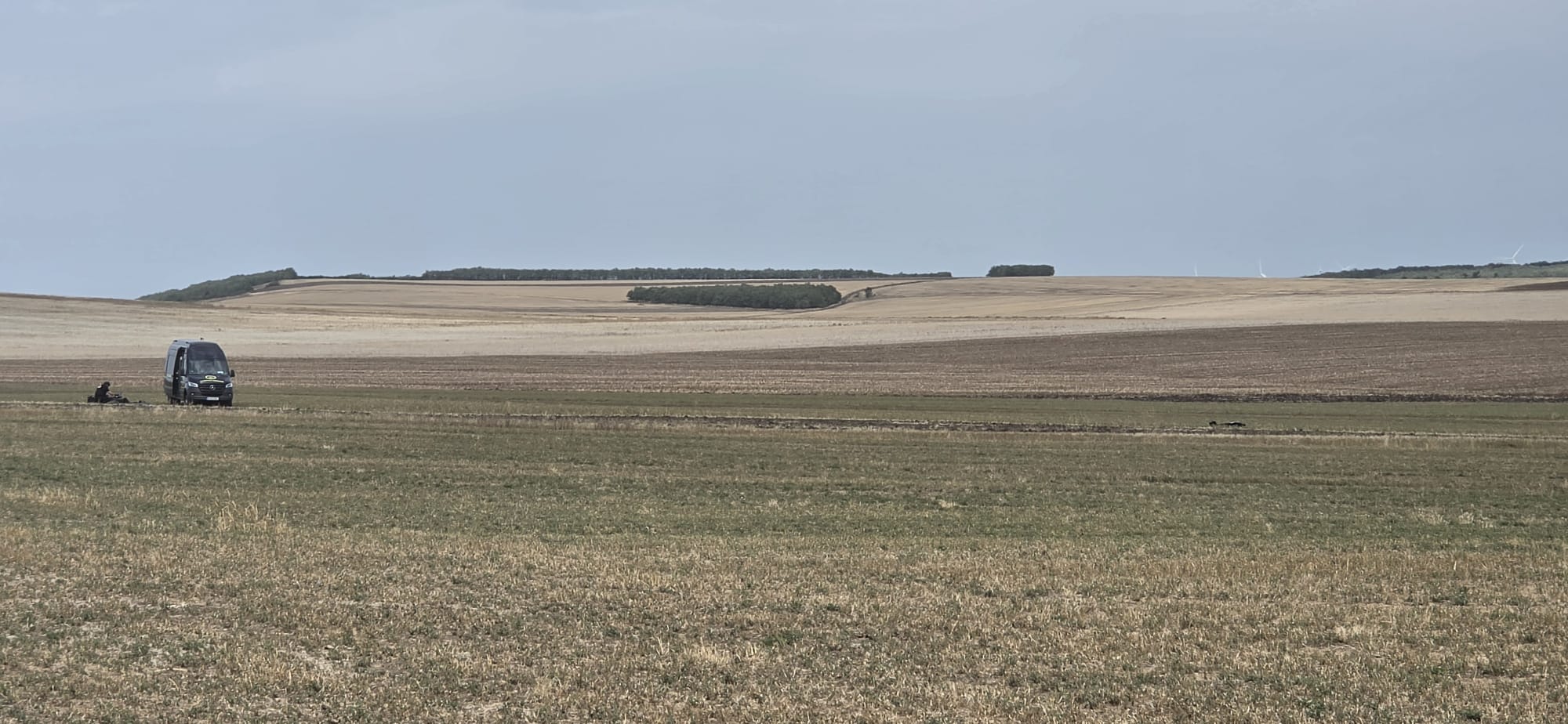 Dronă avariată pe câmp, poliție și SRI în zona Viișoara Dronă avariată pe câmp, poliție și SRI în zona Viișoara