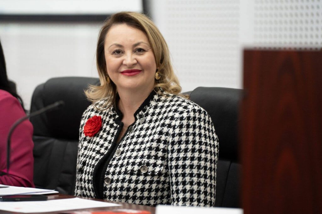 Ana Rinder în timpul unei întâlniri în Vaslui Ana Rinder în timpul unei întâlniri în Vaslui