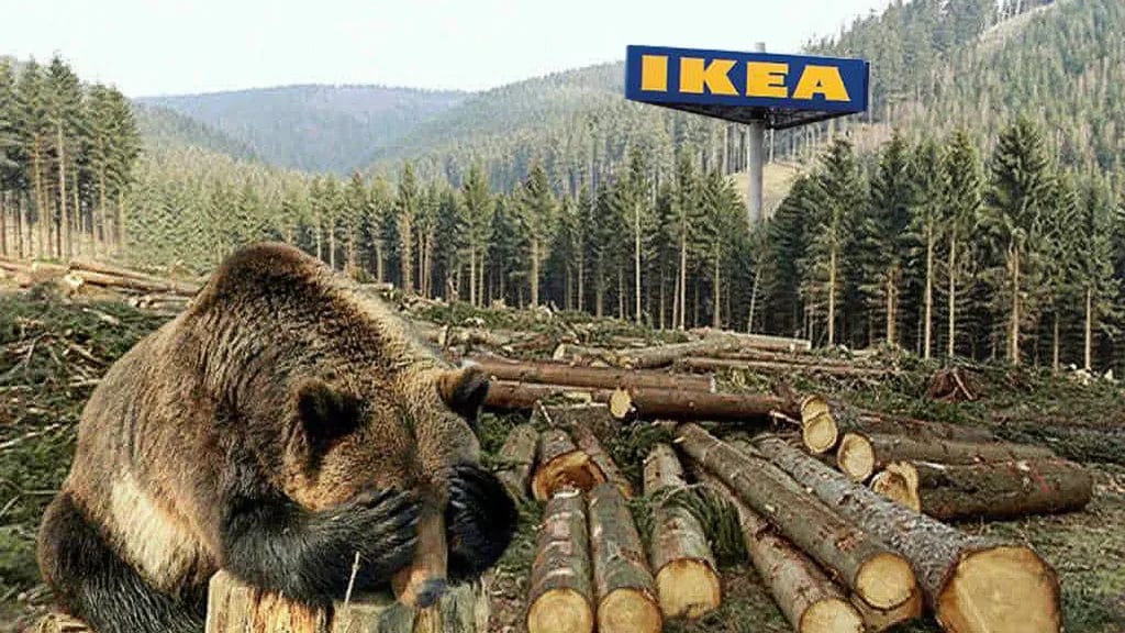 IRI Investments a extins portofoliul forestier în România cu 12.800 de hectare în 2026