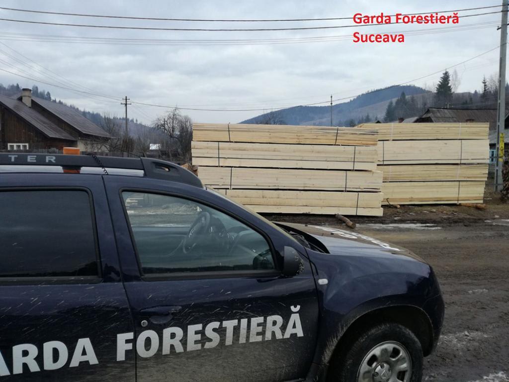 inspector Garda Forestieră verificând pădurea inspector Garda Forestieră verificând pădurea