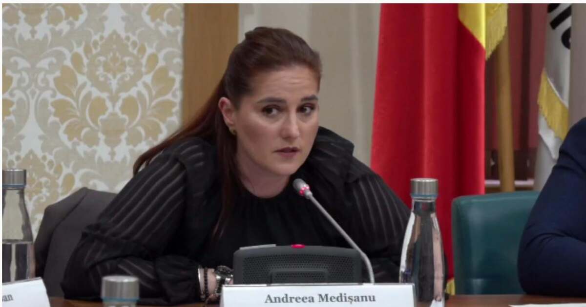 Andreea Medișanu în discurs politic, femeie politiciană în România