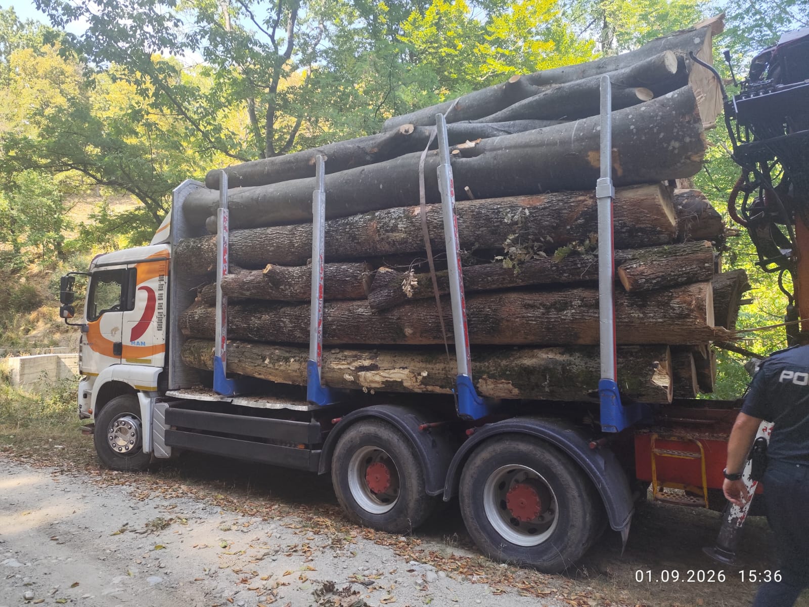 Polițiștii din Gorj au depistat un transport ilegal de lemn fără acte