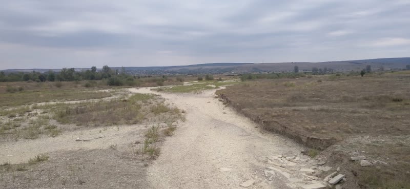 Ozana aproape fără apă în zona Târgu-Neamț, efecte ale secetei