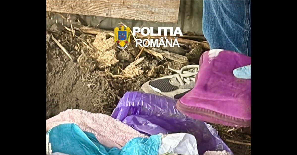 Aproximativ 200.000 de lei găsiți îngropați în Dâmbovița în urma unor percheziții