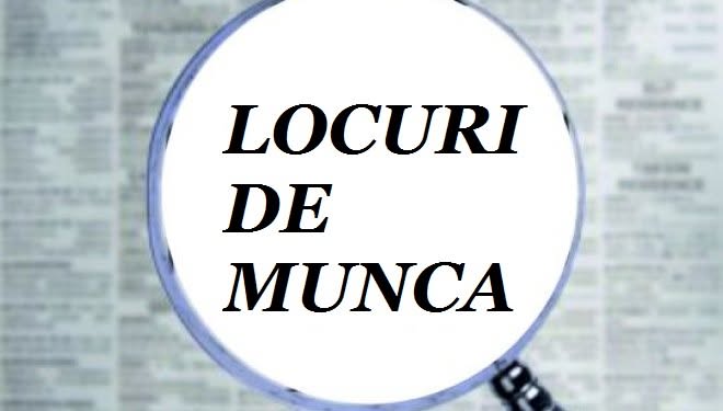 AJOFM Mureș a anunțat 650 de locuri de muncă locale și 101 în Europa