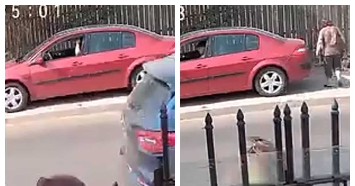 Fetița lovită de mașină în Alexandria s-a stins din viață după zile de luptă pentru viață