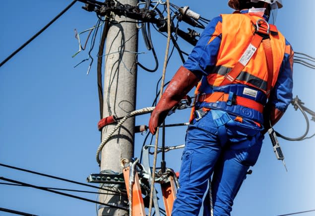 rețea electrică, cabluri și stâlpi de electricitate în Timiș