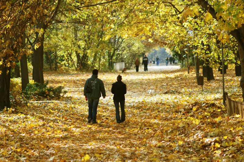 hărți meteo și temperaturi în România în septembrie