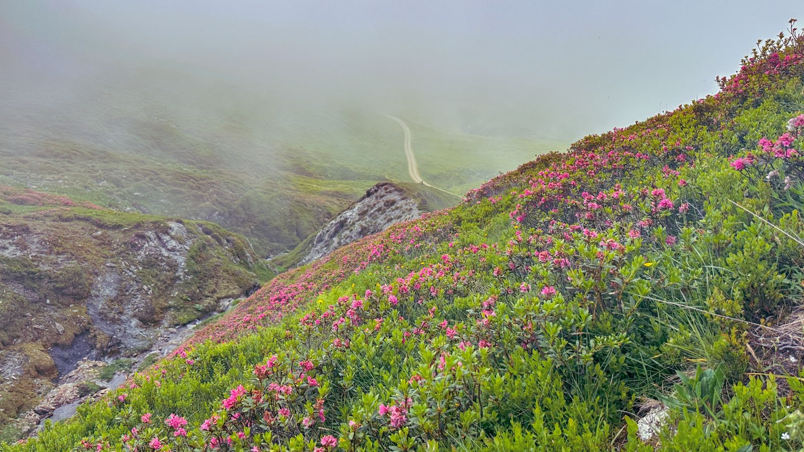 munți europeni cu vegetație înverzită și zone alpine munți europeni cu vegetație înverzită și zone alpine