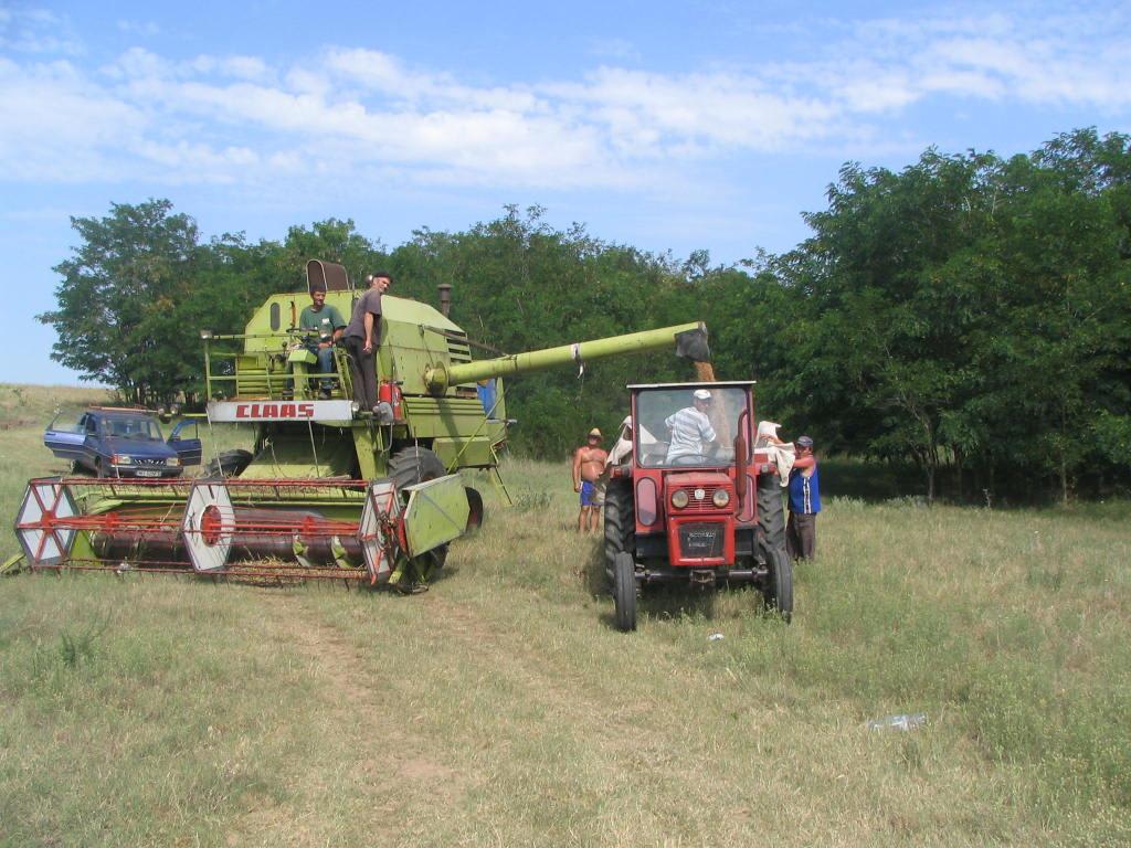 tractor recoltat floarea-soarelui în câmp doljean tractor recoltat floarea-soarelui în câmp doljean