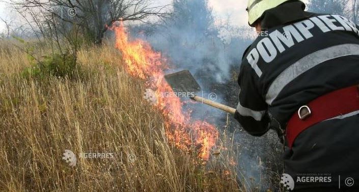 flacări și fum de incendiu în vegetație uscată flacări și fum de incendiu în vegetație uscată