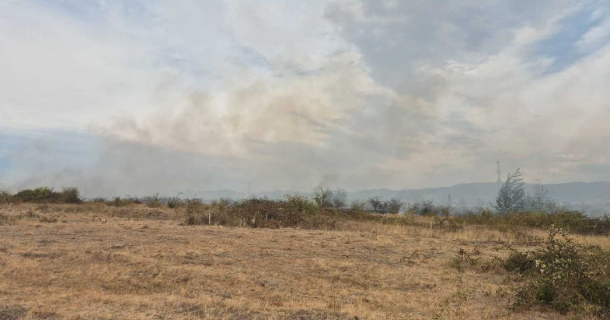 pompieri intervenind la incendiu de pădure, echipamente de stingere, fum și flăcări pompieri intervenind la incendiu de pădure, echipamente de stingere, fum și flăcări