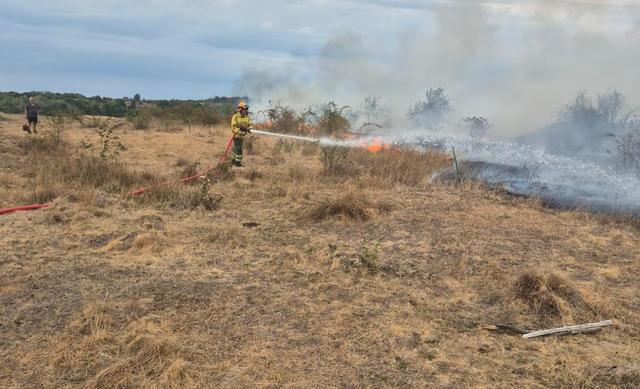 pompieri stingând incendiu de pădure, dronă aeriană, pădure în flăcări pompieri stingând incendiu de pădure, dronă aeriană, pădure în flăcări