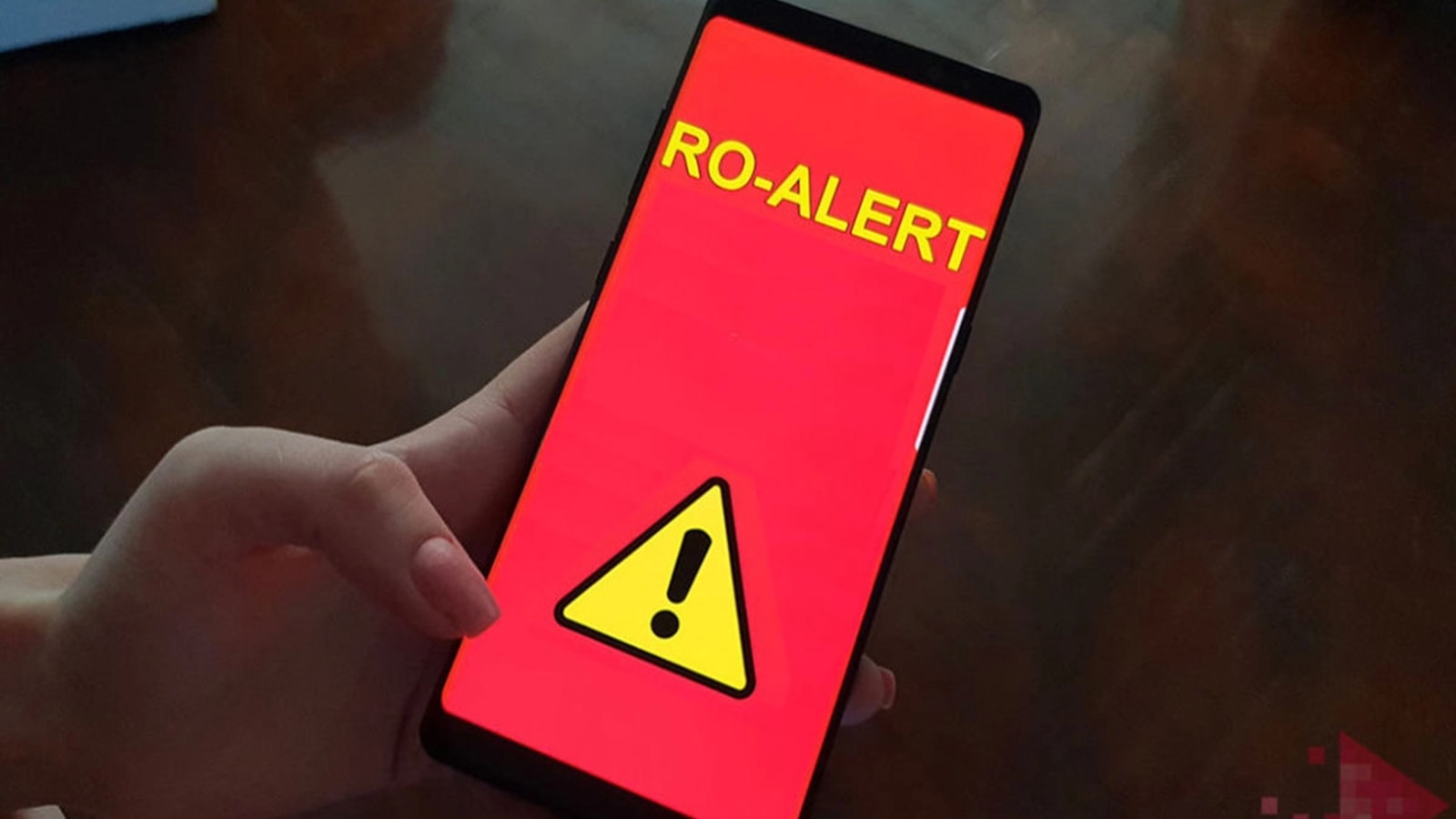 Val de mesaje RO-Alert în Vâlcea după apariția urșilor în două localități